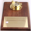 Princess Achievement Award