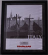 2008 Trafalgar Top Partner Award