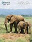 Africa