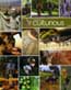 Culturious