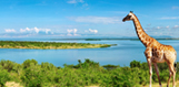 Africa