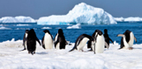 Antarctica