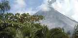 Central America