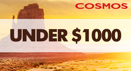 Cosmos Vacations Under $1000