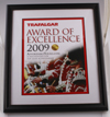 Excellence Award Award