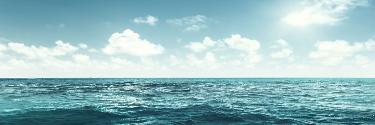 Promotion Image