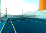 Sports Courts