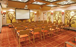 Sala Regolo