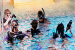 SeaTrek Scuba Diving