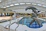 Lido Pool