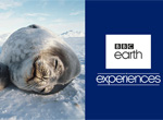 BBC Earth Experiences