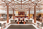 The Wintergarden