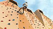 Rock Climbing Wall