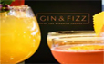 Gin & Fizz