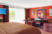 Category Suite