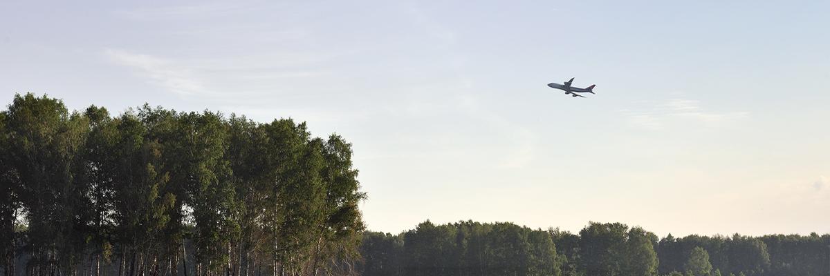 Promotion Image