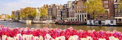 Promo for Avalon Waterways