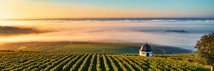 Promo for Avalon Waterways