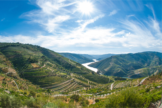 Uniworld SS Sao Rafael Ship