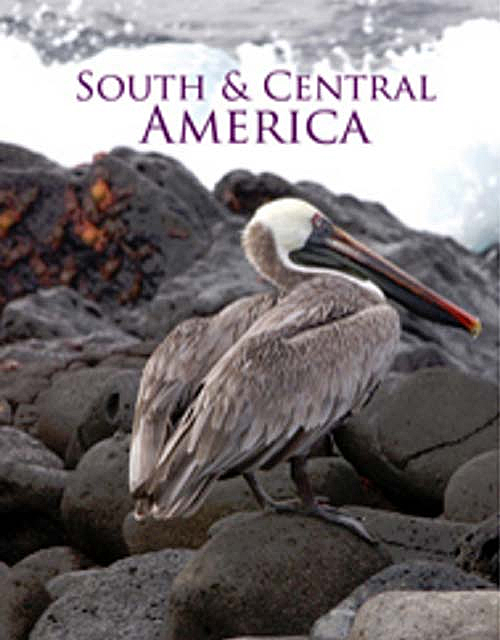 South and Central America Image
