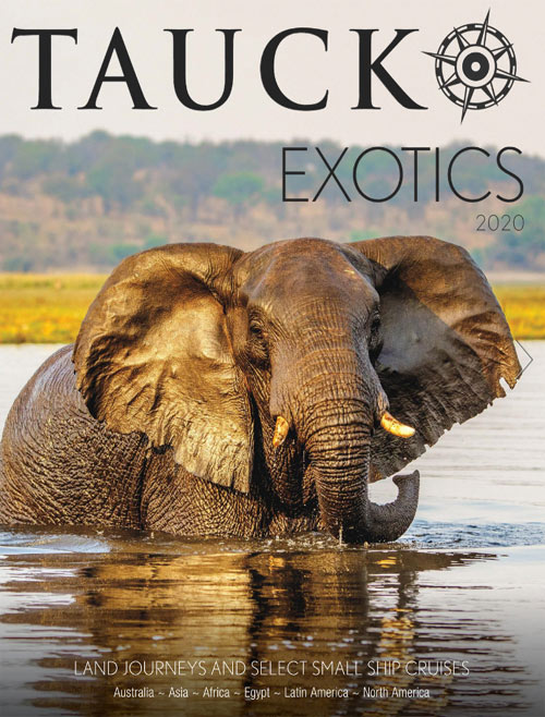 Exotics Image