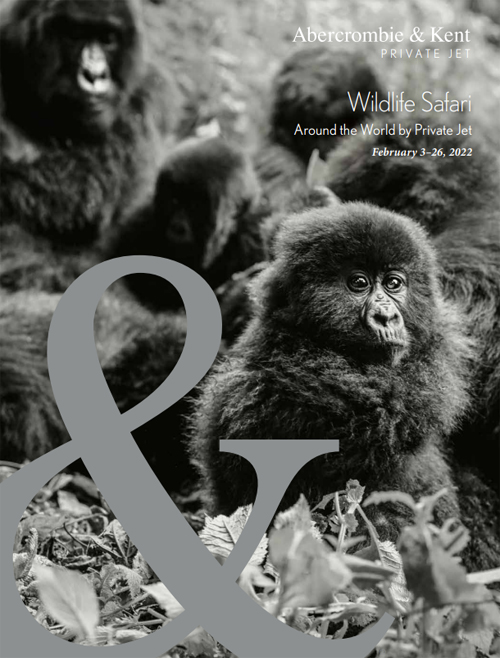 Wildlife Safari Private Jet Travel Image