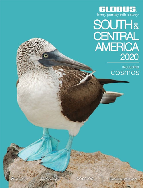 South America and Central America Image