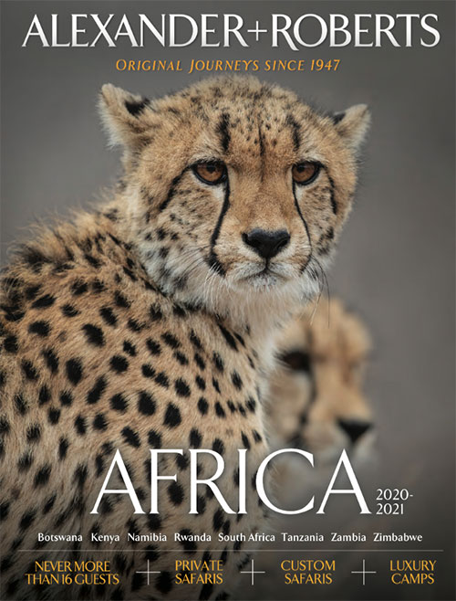 Africa Image