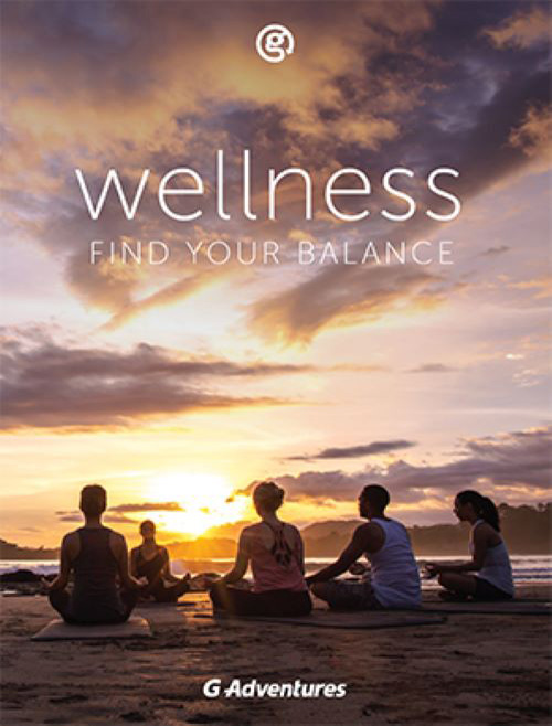 Wellness Image