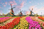 Netherlands Image