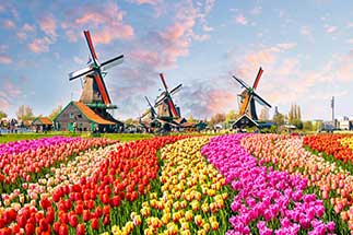 Holland Image