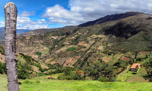 Venezuela Image