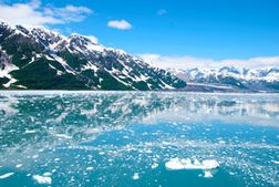 Alaska Cruises