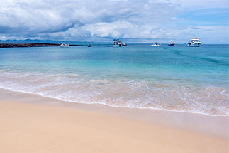 Baltra, Galapagos