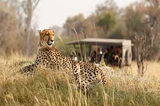 Top 10 Africa Tours 2024 AffordableTours   112  202204181340   