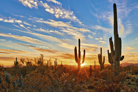 Desert Escapes of California and Arizona