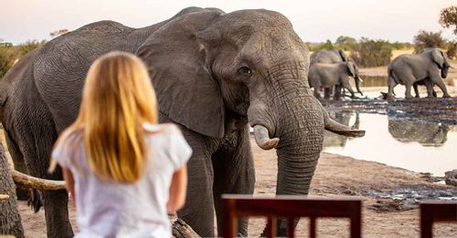 Hwange Safari
