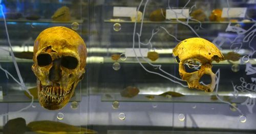 Learn Kenyan history at National Museum, Nairobi, Kenya