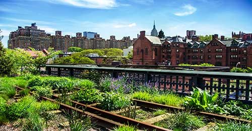 Visit the High Line