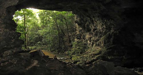 See the Barton Creek Cave to explore the Mayan archaeological site