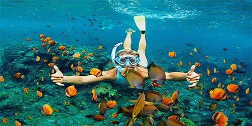 Swim alongside the marine life when you go snorkeling in Bonito