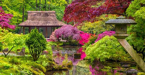 Visit the Earl Burns Miller Japanese Garden