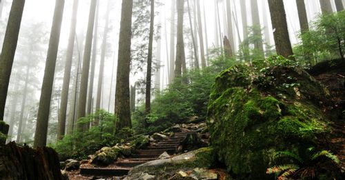 Hike Mother Nature’s Staircase
