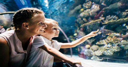 Kodiak Laboratory Aquarium & Touch Tank