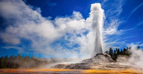 Explore the iconic Yellowstone National Park