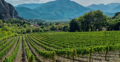Santo’s Winery