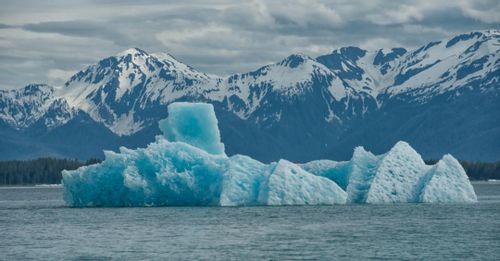 2. Cruise Tracy Arm, Juneau, and Glacier Bay