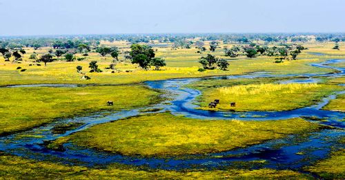 Explore one of the Seven Natural Wonders of Africa at the Okavango Delta