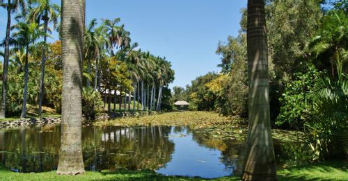 Visit the Bonnet House Museum & Gardens