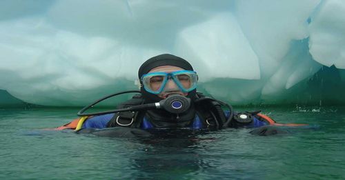Scuba dive in Antarctica’s waters